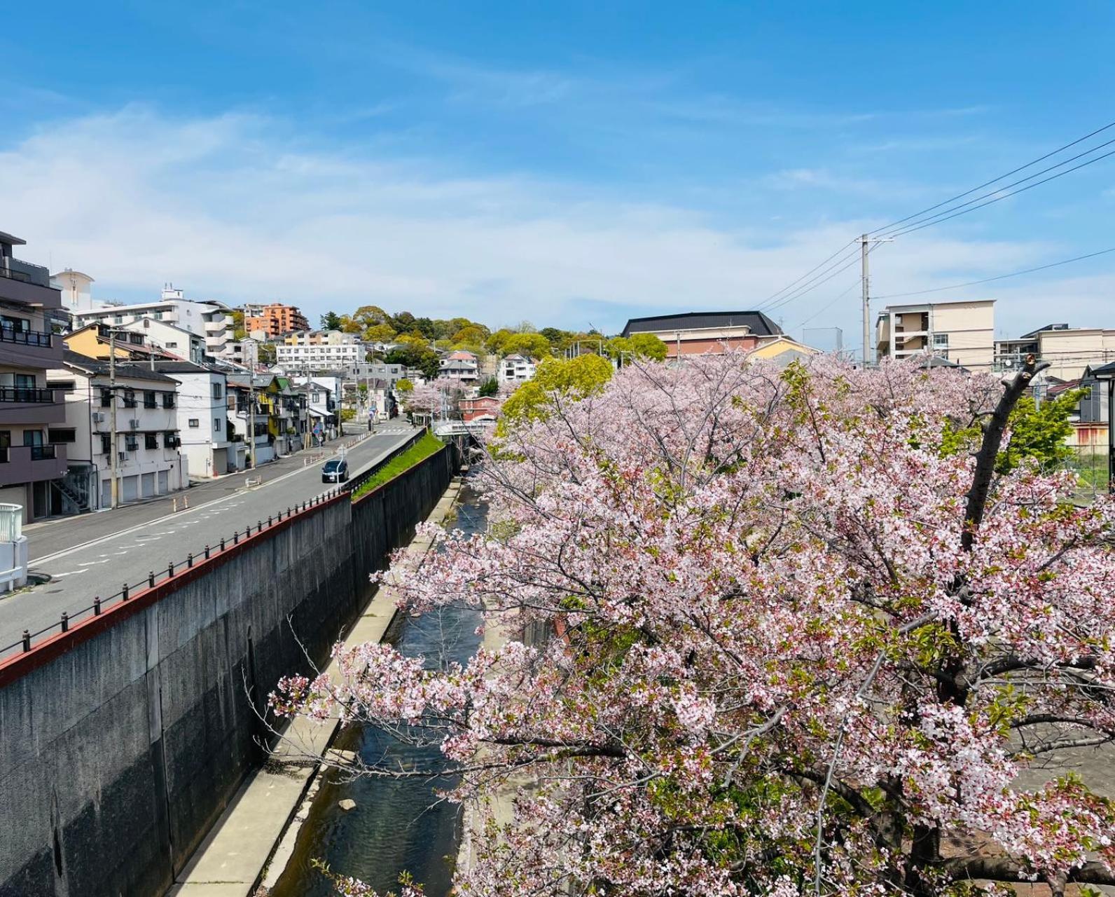 Kobe Coffee Hostel 外观 照片