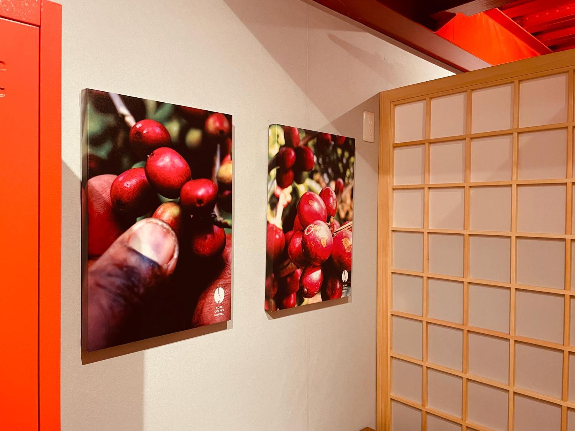 Kobe Coffee Hostel 外观 照片